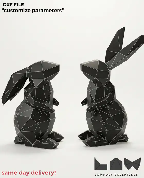 Bunny technical DXF preview